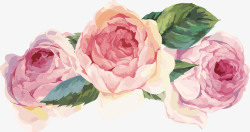 花卉分割线水墨水彩植物牡丹花装饰矢量图高清图片