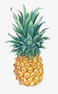 绿叶菠萝卡通手绘菠萝水果高清图片