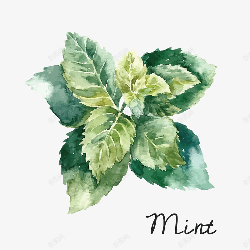 mint水墨花朵矢量图eps免抠素材_新图网 https://ixintu.com mint 中国风 传承 传承与创新 传承与创新的海报 文化接力 水墨画 漂亮 矢量图 花朵