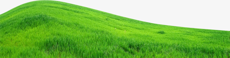 野外清新草地风景png免抠素材_新图网 https://ixintu.com 清新 草地 野外 风景