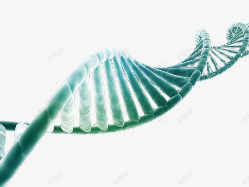 旋转的DNApng免抠素材_新图网 https://ixintu.com DNA DNA双螺旋结构图片 基因 旋转 生物体 科技 遗传