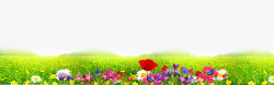 各色花朵绿叶红花背景高清图片