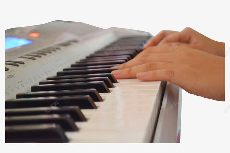 弹电子琴手指特写png免抠素材_新图网 https://ixintu.com 乐器 弹奏 弹钢琴的手 弹钢琴的手透明png 琴键 电子琴 钢琴