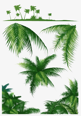 手绘椰子树png免抠素材_新图网 https://ixintu.com 俯视椰子树 创意 彩绘 椰子树叶 简约