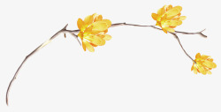 树枝和花朵素材