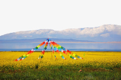 青海旅游著名青海湖景点高清图片