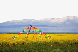 青海湖著名青海湖景点高清图片