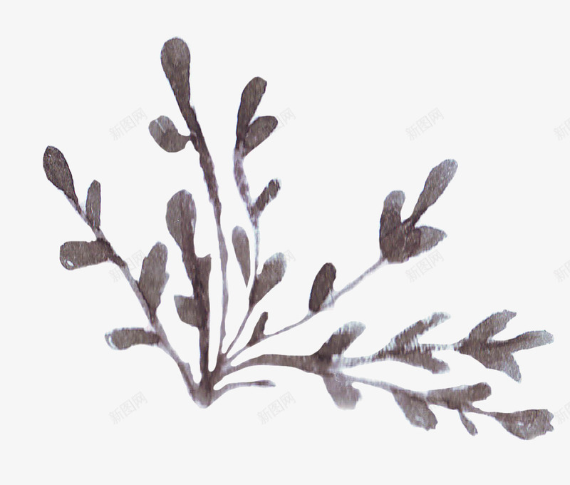 褐色植物水彩风png免抠素材_新图网 https://ixintu.com 植物 水彩风 海藻 涂鸦 草 褐色