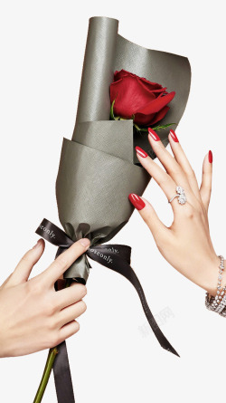玫瑰花包装一束玫瑰花礼物高清图片