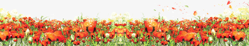 玫瑰花从背景png免抠素材_新图网 https://ixintu.com PNG素材 免费素材 海报素材 玫瑰花 花丛 花瓣