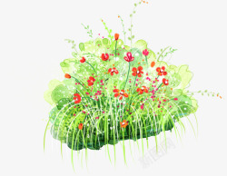 红色小花植物草地素材