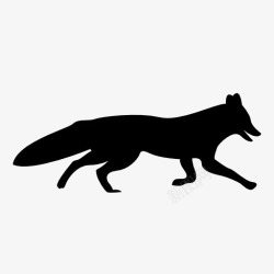 动物影子狐狸剪影高清图片