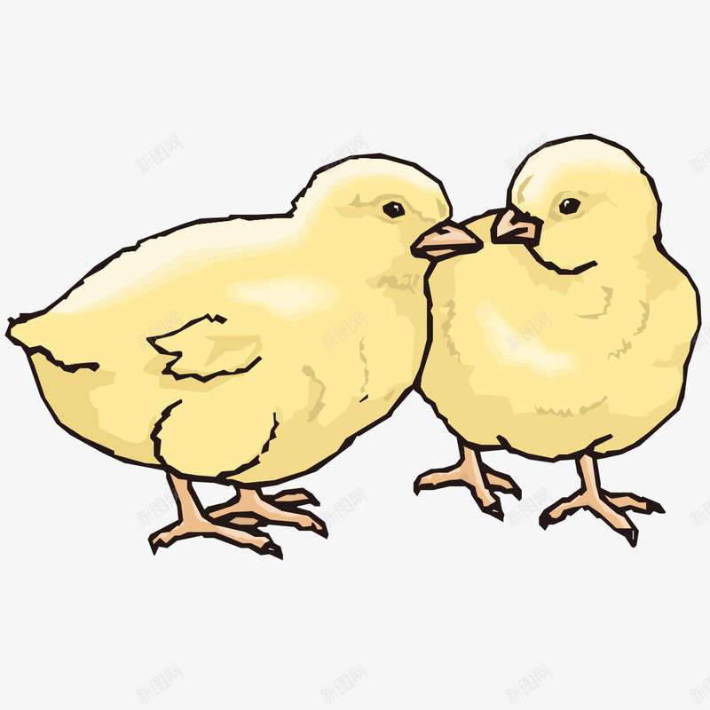 两只小黄鸡图像png免抠素材_新图网 https://ixintu.com 两只 动物 图像 小黄鸡