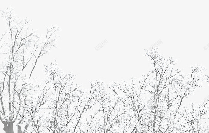 冰天雪地灰色大树png免抠素材_新图网 https://ixintu.com 冬天大树 冬季大树 冰天雪地 灰色大树 白雪皑皑 积雪