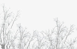 冰天雪地灰色大树素材