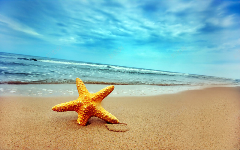 夏季大海创意沙滩海星png免抠素材_新图网 https://ixintu.com 创意 夏季 大海 沙滩 海星