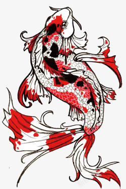 红色水彩锦鲤矢量图素材