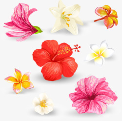 盛开的百合花手绘水彩装饰花朵矢量图高清图片