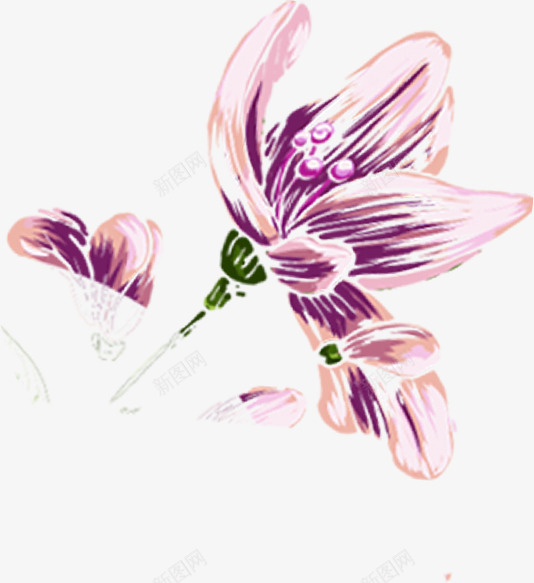 卡通手绘海报涂鸦花朵png免抠素材_新图网 https://ixintu.com 卡通 海报 涂鸦 花朵