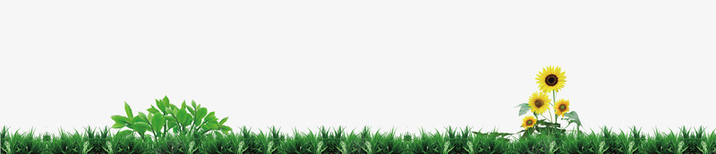 绿色简约草地花朵边框纹理psd免抠素材_新图网 https://ixintu.com 免抠PNG 简约 绿色 花朵 草地 边框纹理