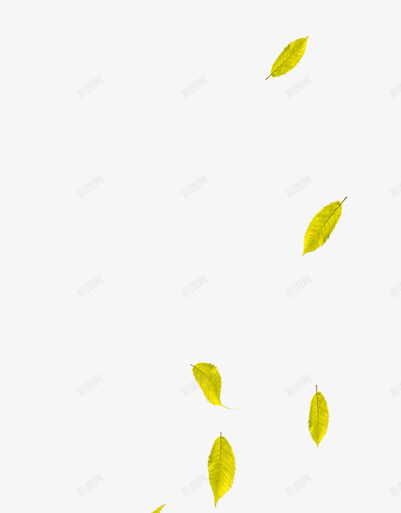 黄绿色清新树叶漂浮png免抠素材_新图网 https://ixintu.com 免抠PNG 树叶 清新 漂浮素材 黄绿色
