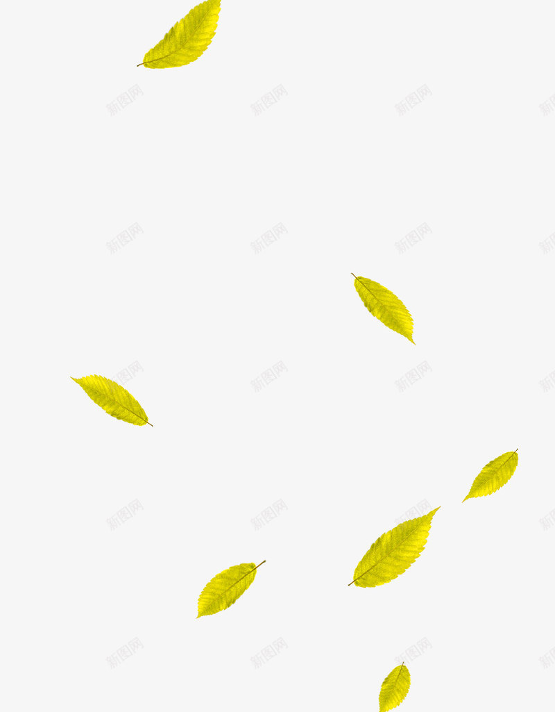 黄绿色清新树叶漂浮png免抠素材_新图网 https://ixintu.com 免抠PNG 树叶 清新 漂浮素材 黄绿色