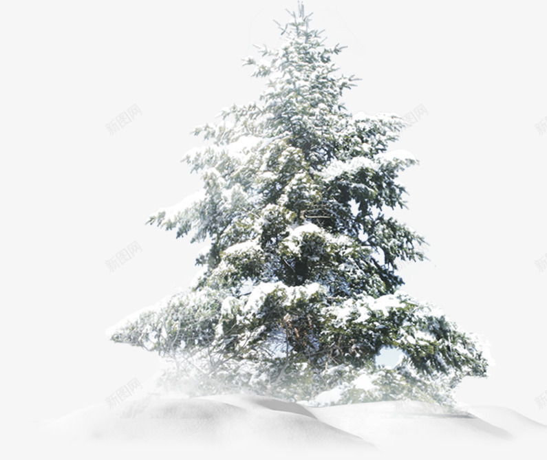 摄影冬天的雪景森林png免抠素材_新图网 https://ixintu.com 冬天 摄影 森林 雪景