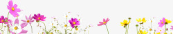 彩色春季小花草丛装饰素材