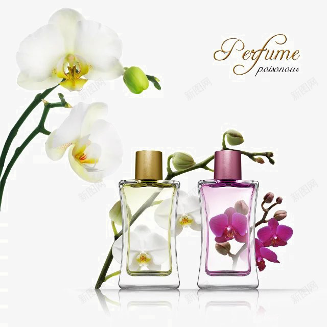精致小瓶子png免抠素材_新图网 https://ixintu.com 玻璃瓶 白色的 紫色的 花朵