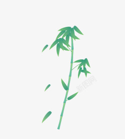 立面图一颗竹子高清图片