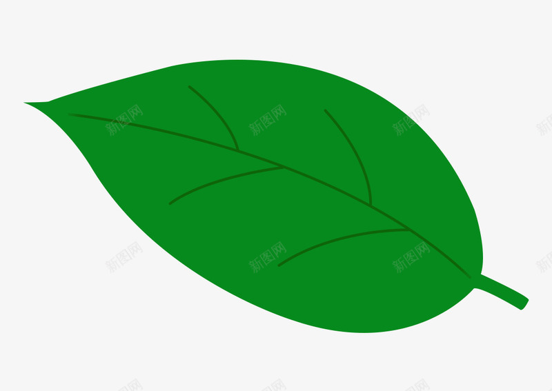 树叶绿色植物图png免抠素材_新图网 https://ixintu.com 叶子 树叶 植物 绿色