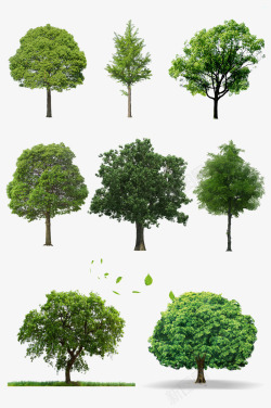 合集小清新绿色大树合集高清图片