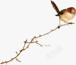 摄影冬天的树木小鸟png免抠素材_新图网 https://ixintu.com 冬天 小鸟 摄影 树木