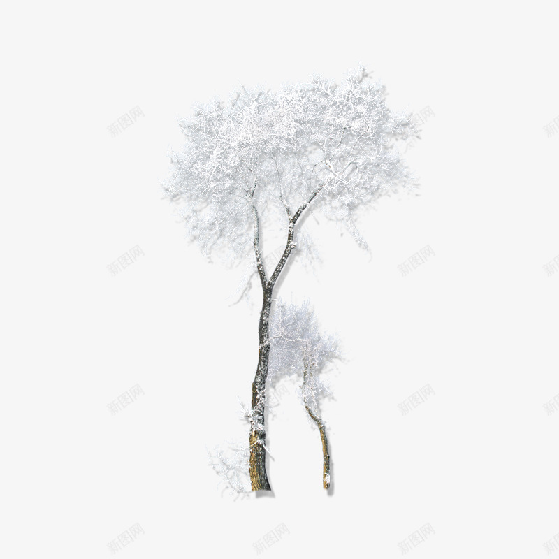 冬天大雪覆盖的树场景png免抠素材_新图网 https://ixintu.com 下雪 冬天 大雪 寒冷 树 覆盖的树场景 雪