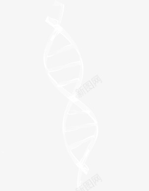 白色dna基因图案png免抠素材_新图网 https://ixintu.com dna 图案 基因 白色