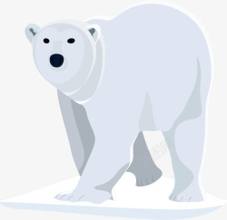 北极熊北极雪素材