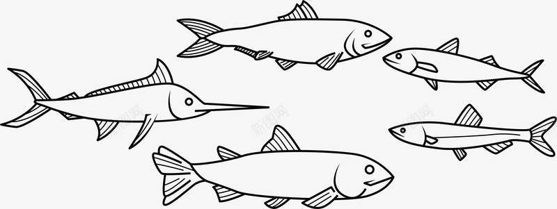 海洋鱼群矢量图eps免抠素材_新图网 https://ixintu.com 海洋 海洋物种 海洋生物 海里生物 生物 鱼群 矢量图