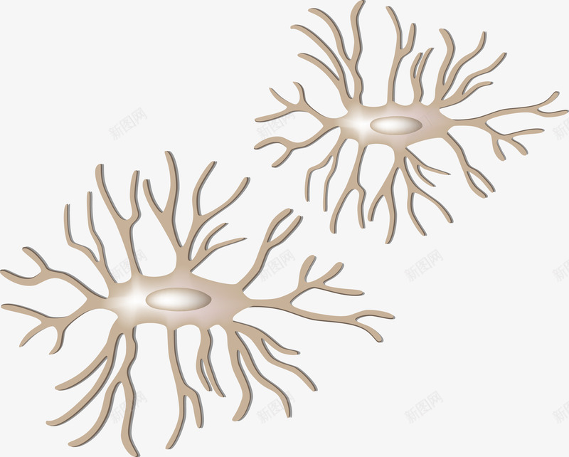 细胞分裂png免抠素材_新图网 https://ixintu.com 显微镜 生物医疗 生物学 生物研究 真菌 细胞 细胞高清大图 细菌 绿色细菌结构 蛋白质细胞