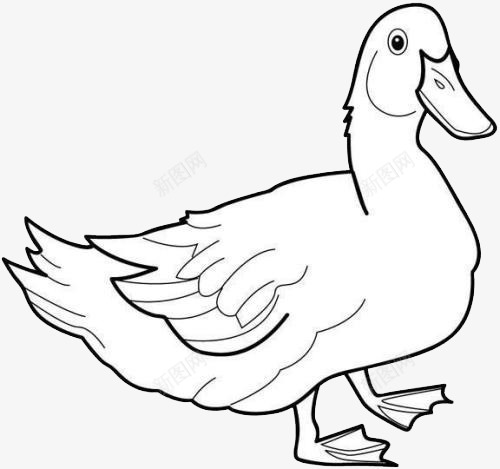 卡通手绘简笔画鸭子图标png_新图网 https://ixintu.com 动漫绘画 动物 卡通手绘 可爱的 简笔画 鸭子
