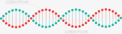 手绘DNA排列素材