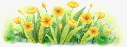 手绘黄色春季花朵装饰素材