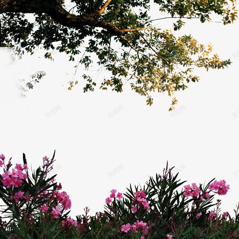 夕阳下向外延伸的大树和粉色花png免抠素材_新图网 https://ixintu.com 地上 夕阳 大树 婚庆 延伸 装饰图案