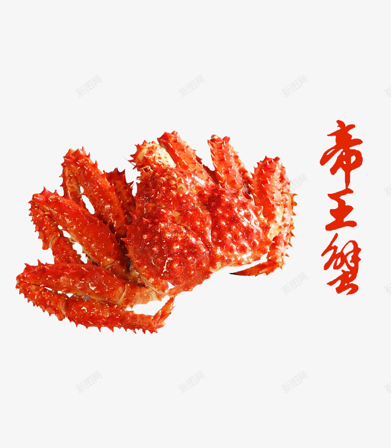 帝王蟹png免抠素材_新图网 https://ixintu.com 产品实物 帝王蟹 海货 海鲜 生鲜 螃蟹