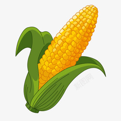 玉米文字黄色卡通玉米高清图片