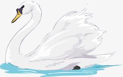 水上动物天鹅高清图片