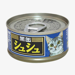 大眼睛猫咪食用猫罐头素材