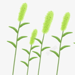 绿植物图卡通狗尾巴草高清图片