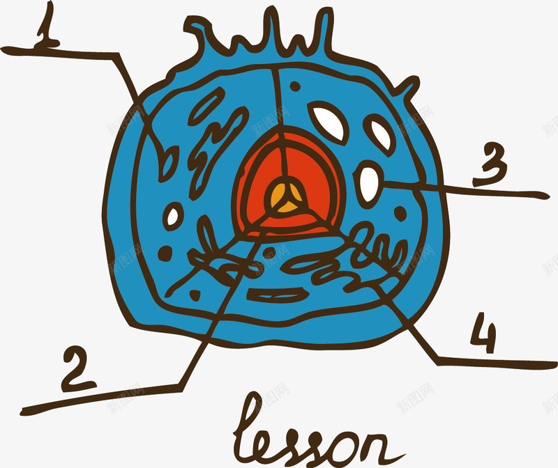 细胞分析图png免抠素材_新图网 https://ixintu.com 卡通 手绘 生物学科