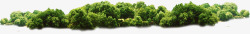 低矮绿色树丛模特低矮高清图片