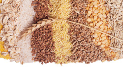 养生谷物麦穗燕麦玉米杂粮谷物堆高清图片